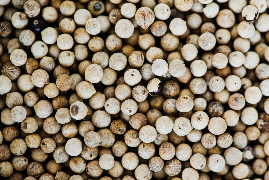 White Pepper in Pakistan – Premium Safed Mirch for Fine Flavor & Everyday Cooking