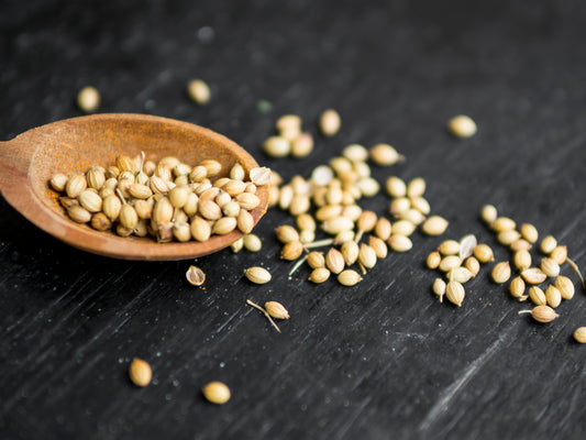 Coriander Seeds in Pakistan – Fresh, Aromatic & Full of Natural Goodness