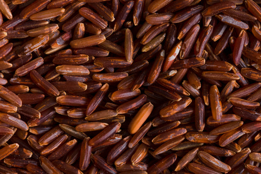Pine Nuts (Chilgoza) in Pakistan – A Premium & Energy-Rich Super Nut